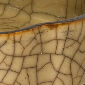 Close-up of a Ge lobed dish, about 3 cm across: bold dark crackle with finer golden-brown lines between, in a thick beige glaze below the dark rim