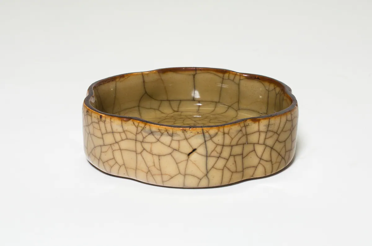 A shallow lobed Ge ware dish with a thick, opaque beige glaze crossed by a bold network of dark crackle lines, with finer golden-brown lines between them.